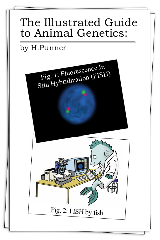 “I need to fine-tuna the magnification or something because I can’t get the correct scale” <— worst puns ever